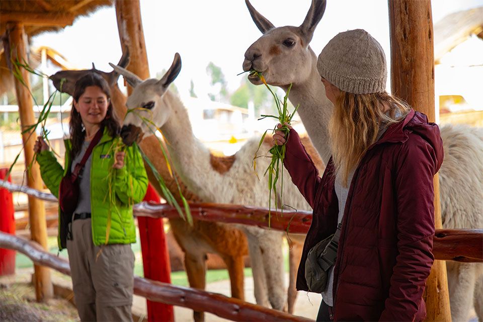 Milan „Milan" Schirbel