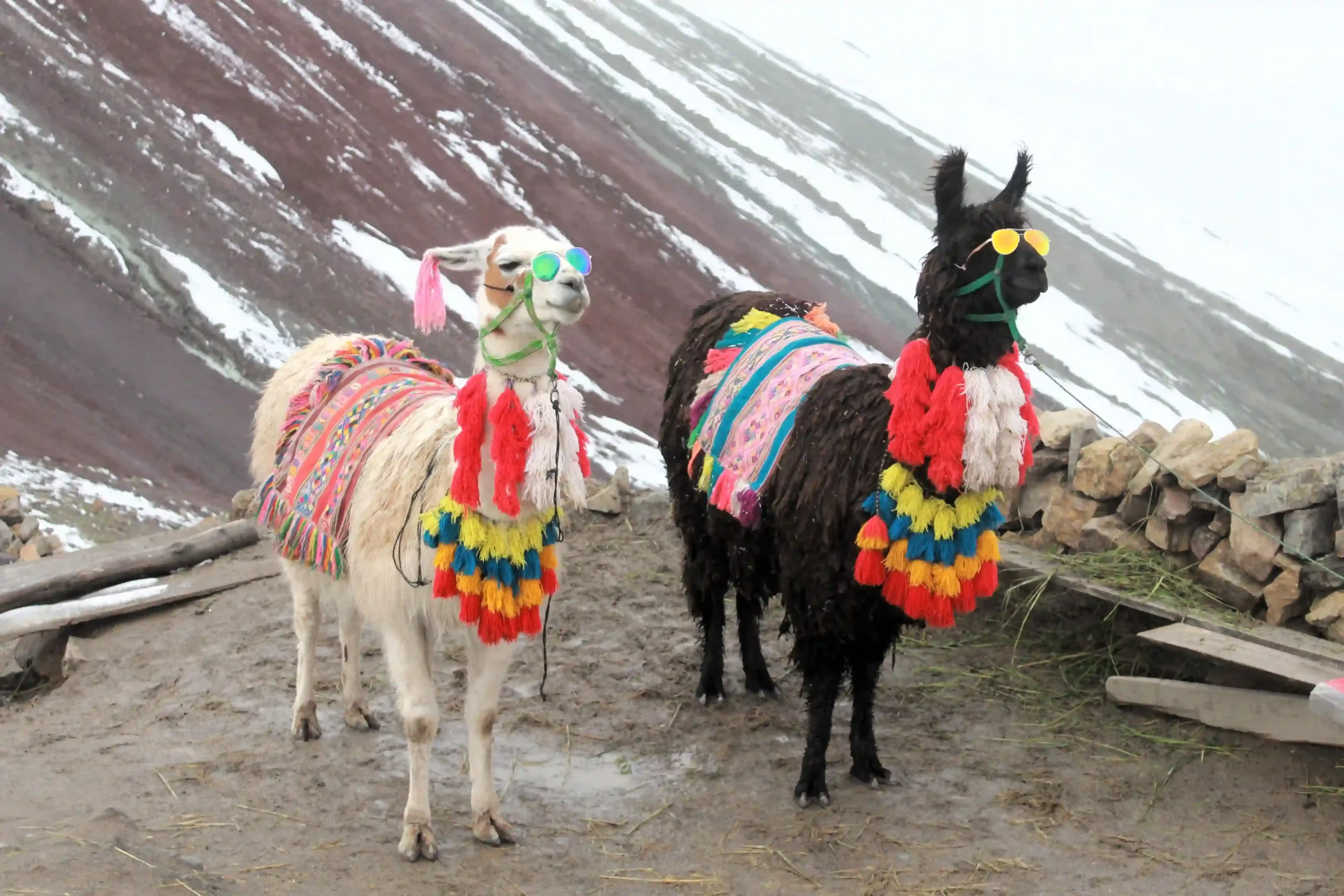 PALCCOYO RAINBOW MOUNTAIN TOUR 4