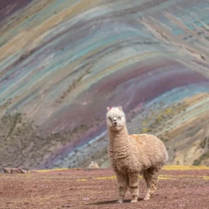 PALCCOYO RAINBOW MOUNTAIN TOUR